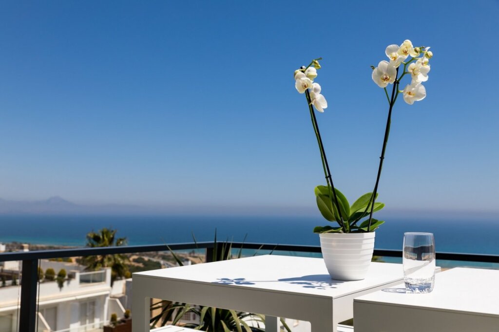 nuevos apartamentos en venta, a 20 minutos de alicante y elche, costa blanca foto grande (3)