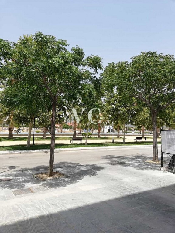 apartamento en alquiler en torre del mar málaga foto grande (3)