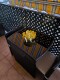 Foto9