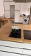 Foto32