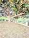Foto33