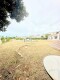 Foto35
