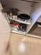 Foto9