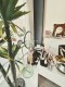 Foto15