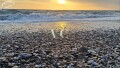 Foto41