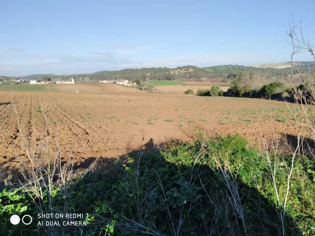 Foto suelo rústico en venta en arcos de la frontera cádiz