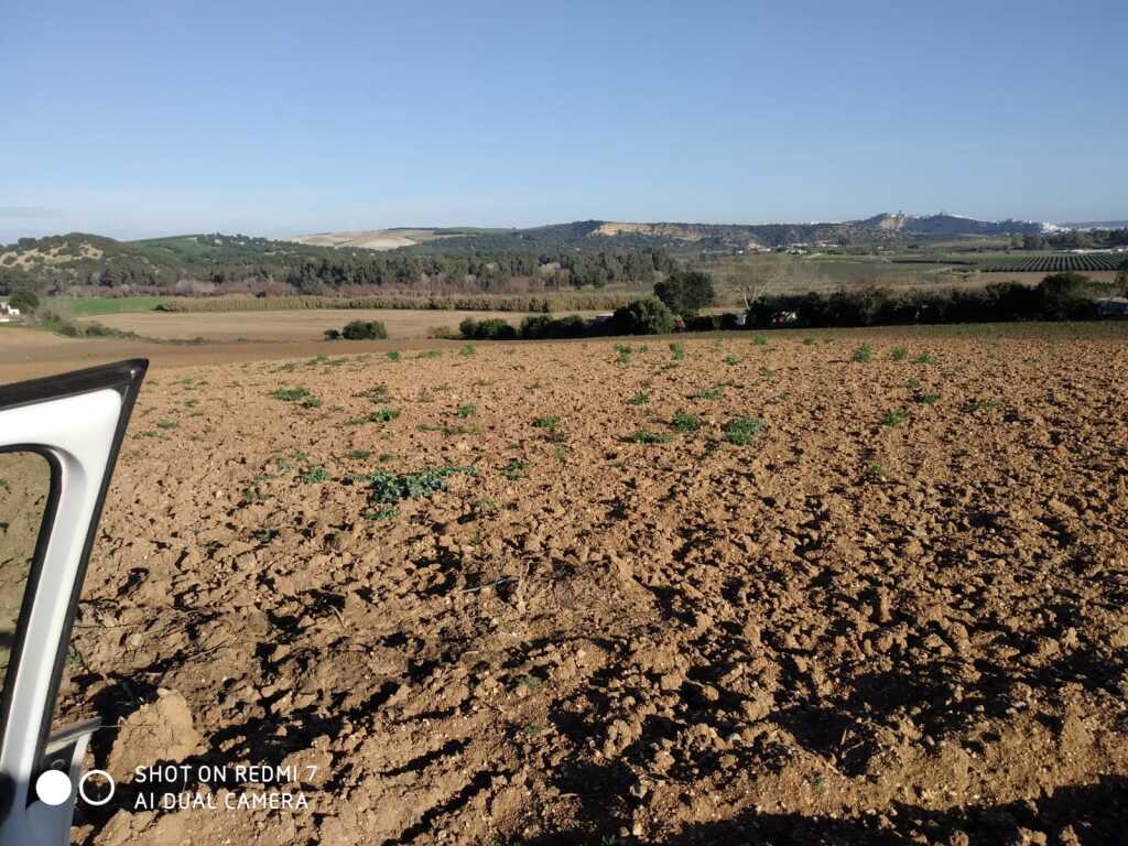 suelo rústico en venta en arcos de la frontera cádiz foto grande (3)