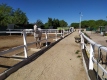 Foto8