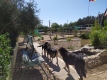 Foto9