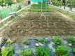 Foto15