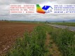 Foto5