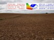 Foto7