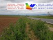 Foto8