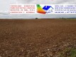 Foto9