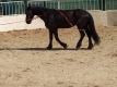 Foto8