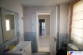 Foto31