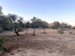 Foto2