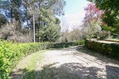 Foto38