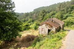 Foto12