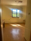 Foto36