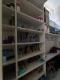 Foto37