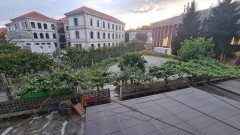 Foto15