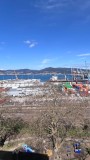 Foto11