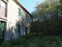 Foto9
