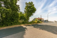 Foto12