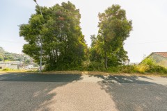 Foto14