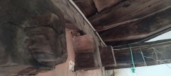 Foto6