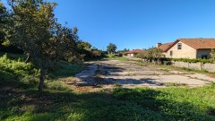 Foto2