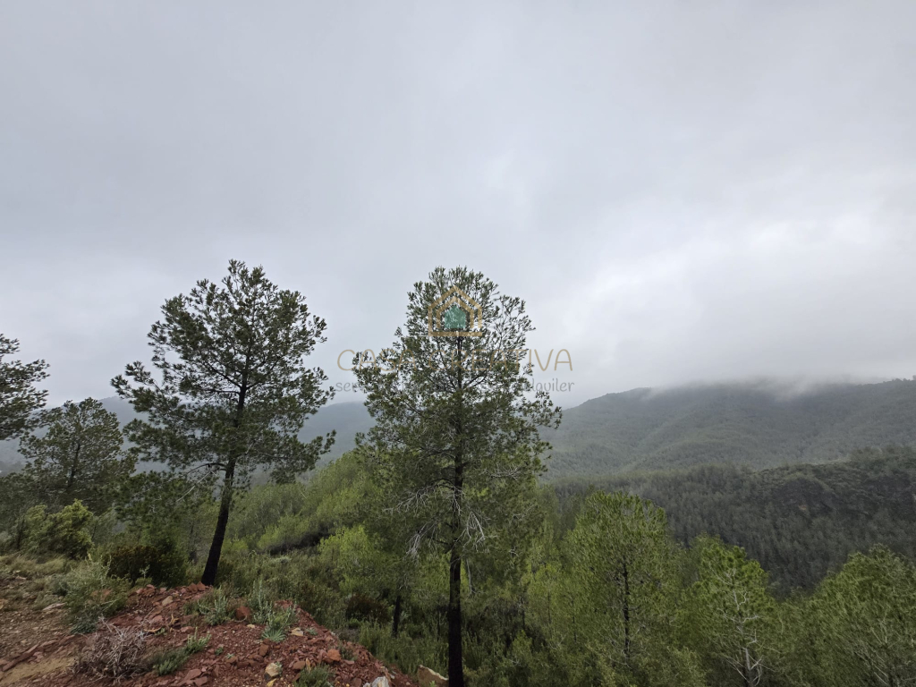 Foto casa-chalet en venta en torralba del pinar castellón