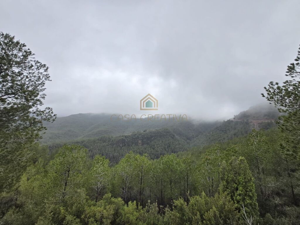 Casa-Chalet en Venta en Torralba Del Pinar Castellón