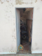 Foto19