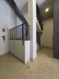 Foto51