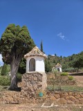 Foto61