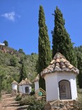 Foto65