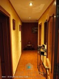 Foto3