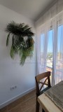 Foto40