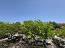 Foto19