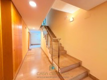 Foto55