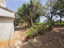 Foto16