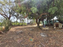 Foto44