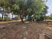 Foto46