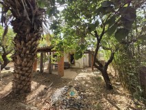 Foto48