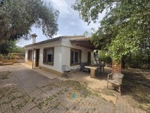 Foto5