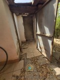 Foto50
