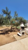 Foto11