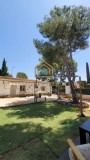 Foto4